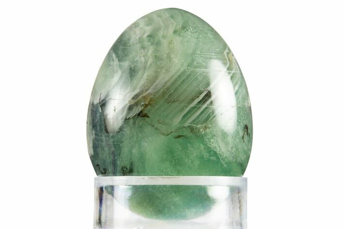Polished Green Fluorite Egg - Fluorescent! #331769